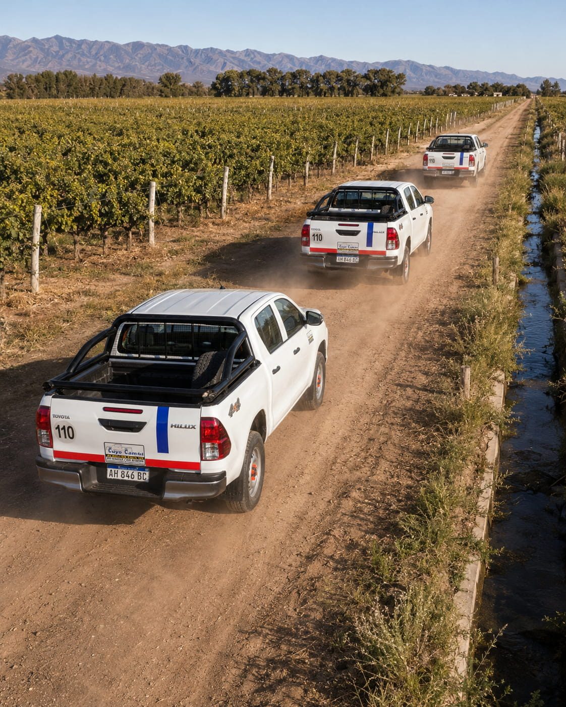 Flota en viñedos